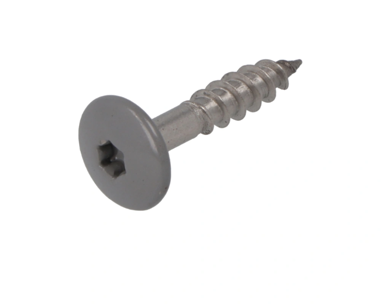 Dak&Gevel Kleurkopschr 4.8X25 Rvs-A2 Stofgrijs Ral 7037 (50)