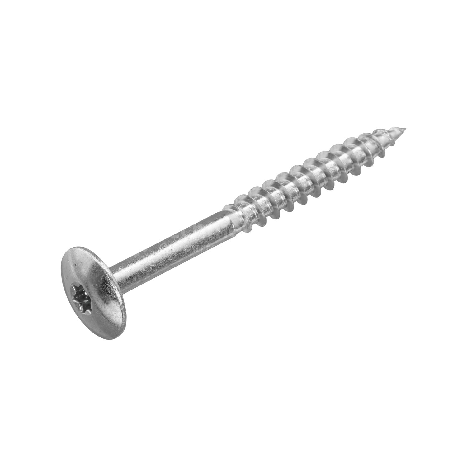 HPL Schroef 4.8x60 RVS-A2 TX20 Blank (100)