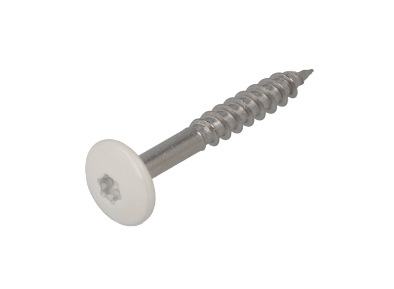 Dak&Gevel Kleurkopschr 4.8X25 Rvs-A2 Wit Ral9010 (50)