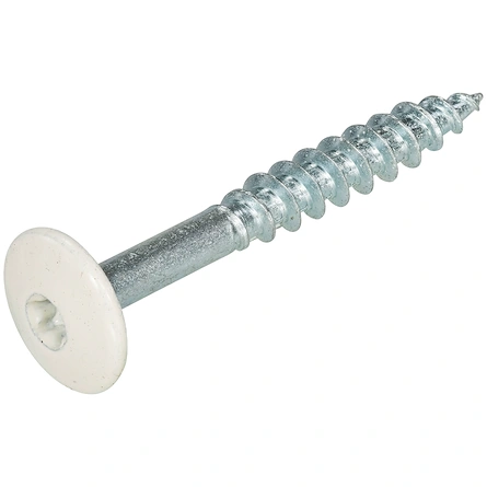 HPL Schroef 4.8x25 Parelwit RAL1013 RVS-A2 TX20 (100)