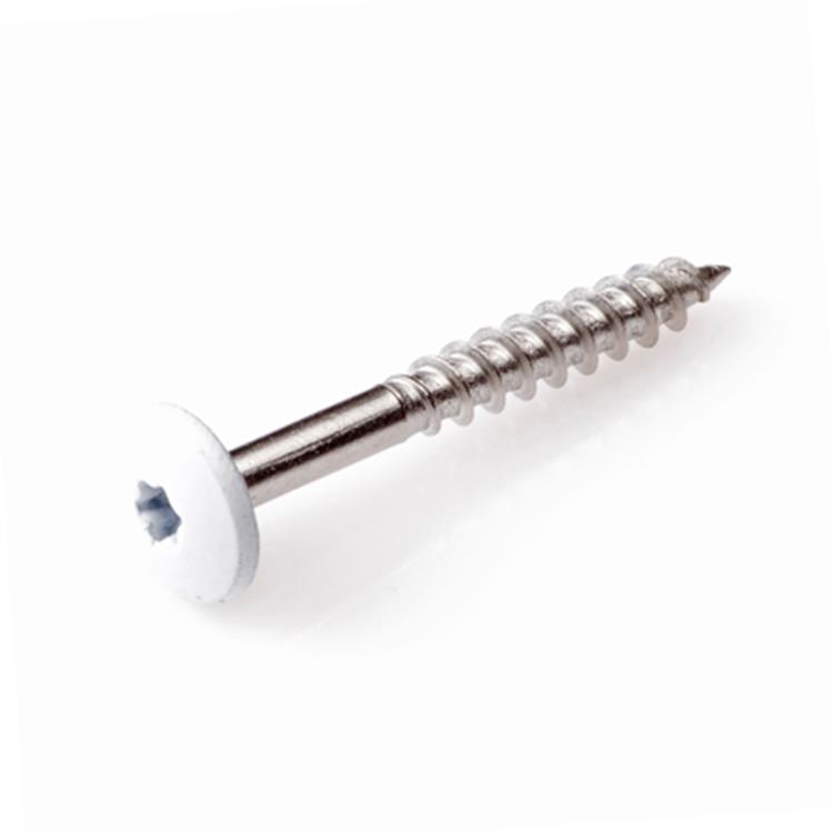HPL Schroef 4.8x50 RVS-A2 TX20 Crème Wit RAL9001 (100)