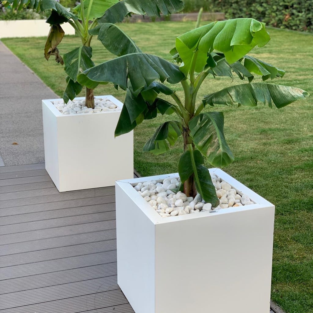 Stalen plantenbak 60 x 60 x 60  Zwart Stalen plantenbak 60 x 60 x 60  Zwart