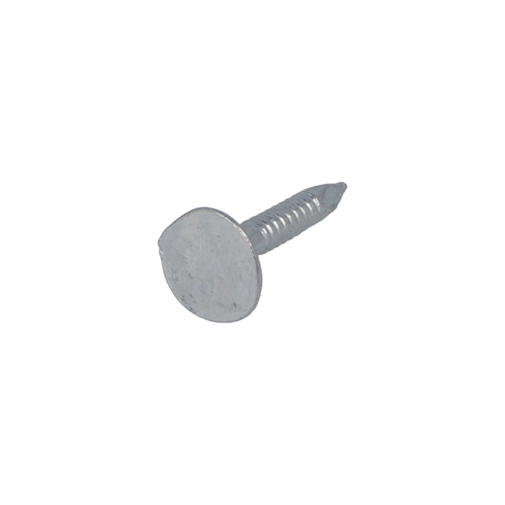 Proftec Asfaltnagel 3.0 X 25 mm  Verzinkt  Platkop DIN1160 (1KG)